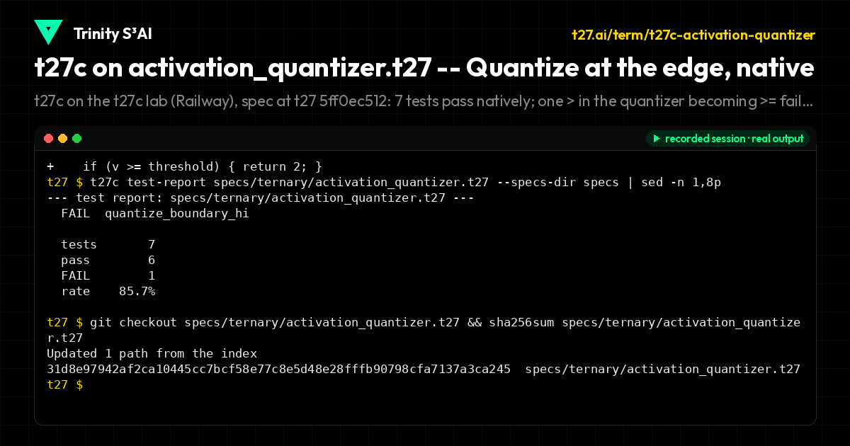 t27c on activation_quantizer.t27 -- Quantize at the edge, native