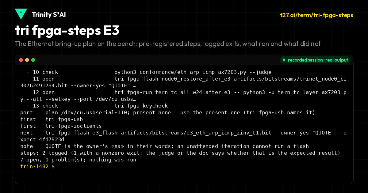 tri fpga-steps E3