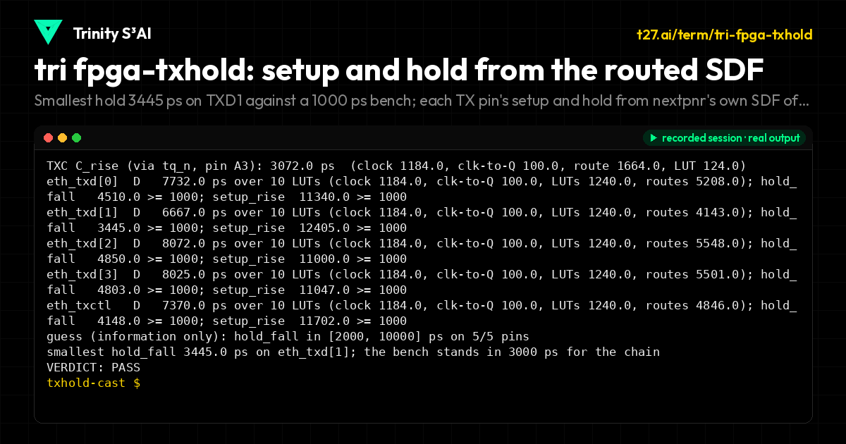 tri fpga-txhold: setup and hold from the routed SDF